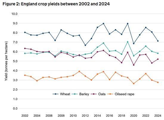 Photograph of Provisional Cereal And Oilseed Production Estimates For England 2024 - Wheat Production Drops