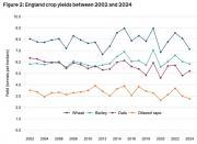 Thumbnail for article : Provisional Cereal And Oilseed Production Estimates For England 2024 - Wheat Production Drops