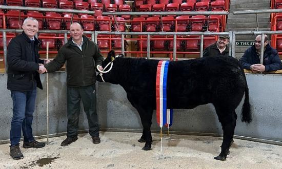 Photograph of Dingwall And Highland Marts Ltd - Prime Stock Show 3 December 2024