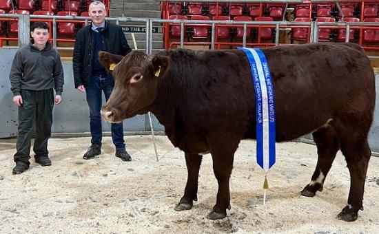 Photograph of Dingwall And Highland Marts Ltd - Prime Stock Show 3 December 2024 Runner Up