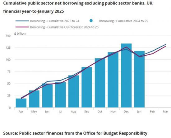 Photograph of UK Government Borrowing in the financial year to January 2025