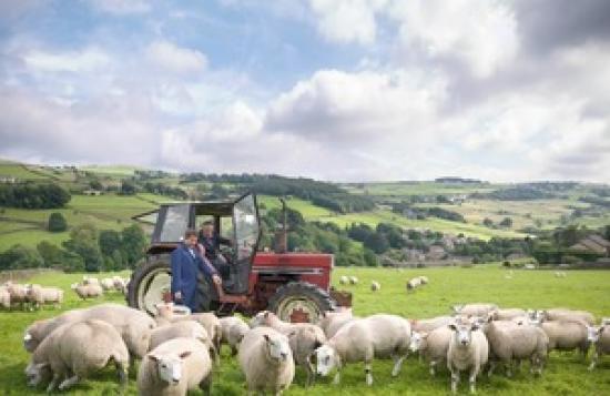 Photograph of UK Government announces raft of new policies and major investment to boost profits for farmers