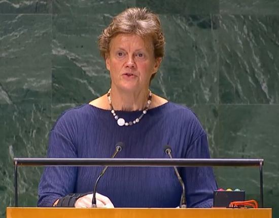 Photograph of A peace that rewards aggression is not real peace: UK Statement in the UN General Assembly