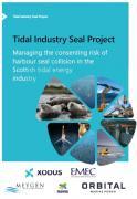 Thumbnail for article : New report charts path to unlocking Scotland's tidal energy potential