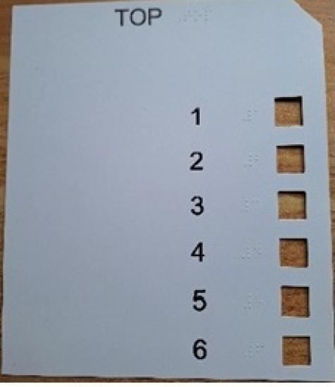 Photograph of The Highland Council to trial ballot paper overlay to make voting more accessible 