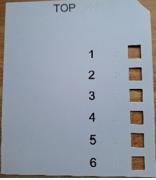 Thumbnail for article : The Highland Council to trial ballot paper overlay to make voting more accessible 