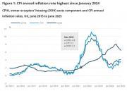 Thumbnail for article : Consumer price inflation UK June 2025 - Rising Again to 3.6%