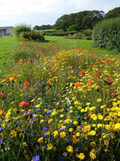 Photograph of Highland Council invites new applications for the Nature Restoration Fund