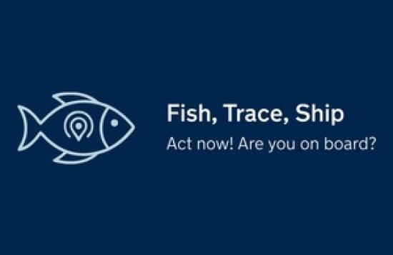 Photograph of Fish, Trace, Ship – help shape the Fish Export Service