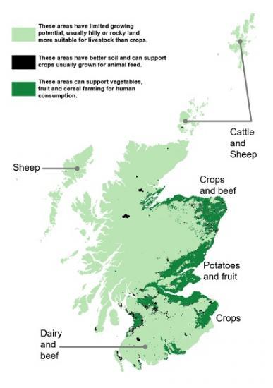 Photograph of June Agricultural Census 2025 Scotland