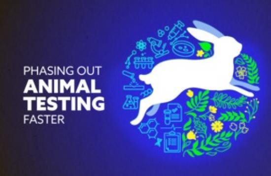 Photograph of Animal testing to be phased out faster as UK unveils roadmap for alternative methods