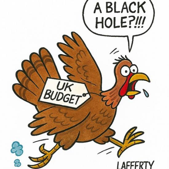 Photograph of Turkey Before Christmas? The Budget That Gobbled Up Trust