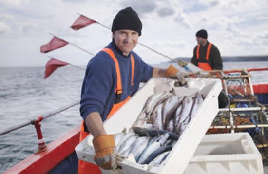 Photograph of UK secures £840m in valuable fishing opportunities for 2026