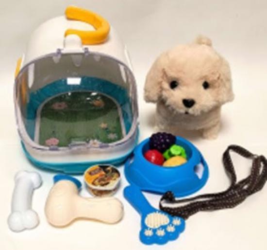 Photograph of Trading Standards - Christmas Safety Warning: Hazardous Counterfeit Goods