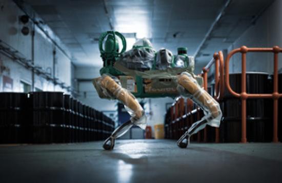 Photograph of How are robot dogs helping clean up Sellafield?