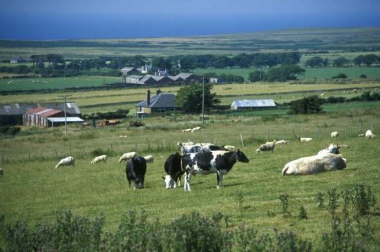 Photograph of Getting Rid of Red Tape in Scottish Farming