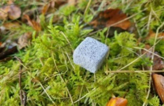 Photograph of Powering the farms of the future with £50 million tech investment