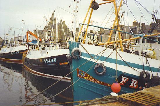 Photograph of The Scottish Fishing Industry Today: Fleet Size, Key Ports, and What Is Really Happening to Catches