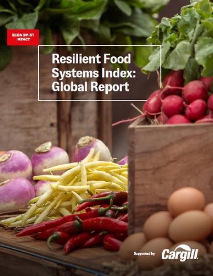 Photograph of How Resilient Is the Global Food System? Key Insights from the 2026 Resilient Food Systems Index