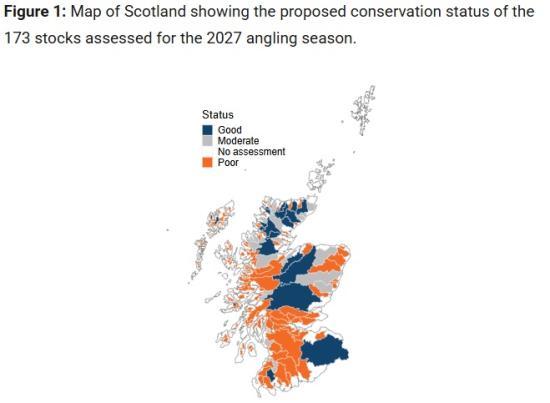 Photograph of Scotland's Wild Salmon Under Growing Pressure as New Report Shows Continuing Decline
