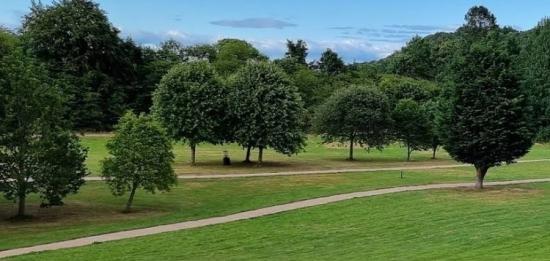 Photograph of Do We Need a New Kind of Cemetery? Could Highland's Greenspaces Help Make Funerals More Affordable?