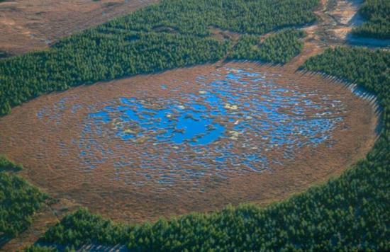 Photograph of New SNH Funding For Peatland Restoration