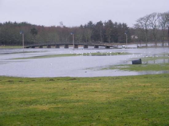 Photograph of Flooding Awareness Urged