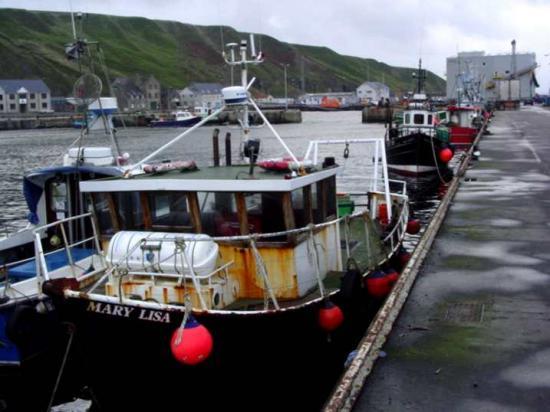 Photograph of Fishing Industry Lands New Apprentices