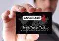 Thumbnail for article : ANSACARD - Get Your Business Details Out Digitally Fast