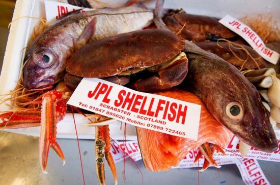 Photograph of Growing worldwide demand for Caithness seafood company's produce