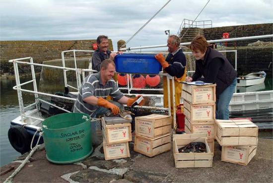 Photograph of New Lobster Business Gets CASE Support