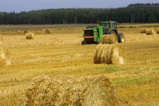 Photograph of Almost £310 million paid to farmers