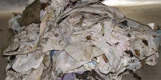 Photograph of Reducing Single Use Plastic