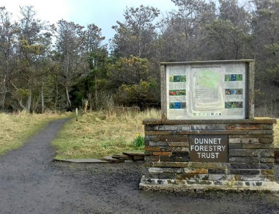 Photograph of Dunnet Forestry Trust Bids To Take Ownership Of The Forest