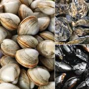 Thumbnail for article : Shellfish company fined for food safety offences