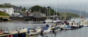 Thumbnail for article : Harris Marina Hub Officially Opens