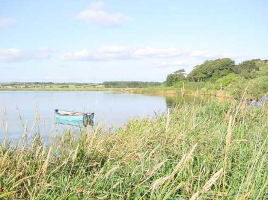 Photograph of Public warned of algal bloom presence at Loch Watten, Caithness