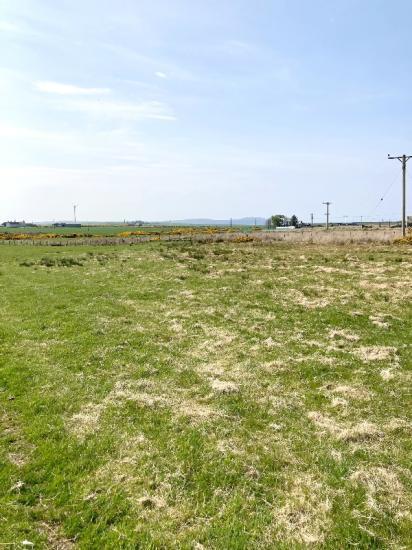 Photograph of Plot at Burn Road, Ratter