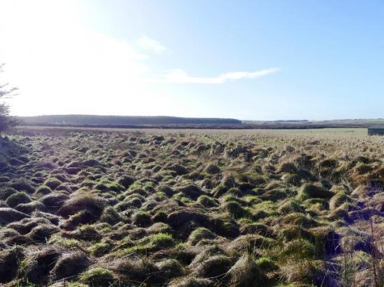 Photograph of Land at Mey